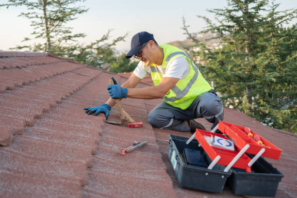 Best Roof Inspection  in USA